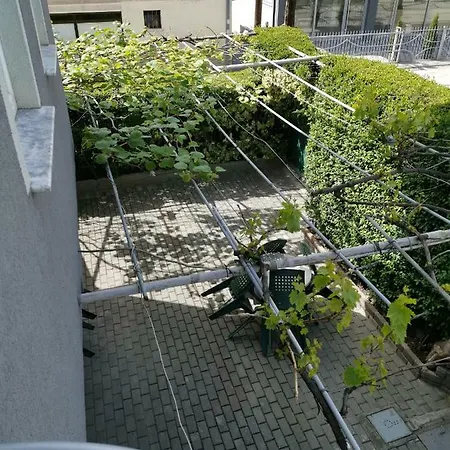 Villa Centar Ohri Dış mekan fotoğraf